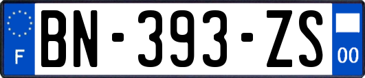 BN-393-ZS