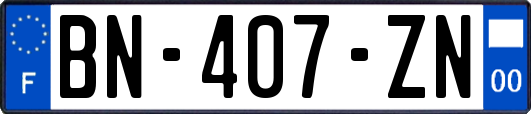 BN-407-ZN