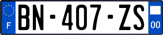 BN-407-ZS