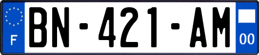 BN-421-AM