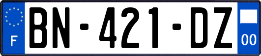 BN-421-DZ