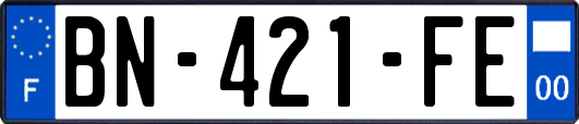 BN-421-FE