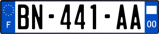 BN-441-AA