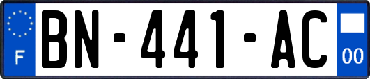 BN-441-AC