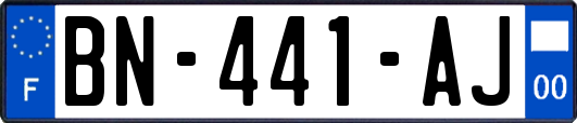 BN-441-AJ