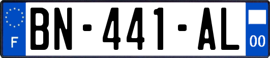 BN-441-AL