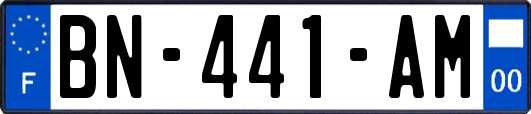 BN-441-AM