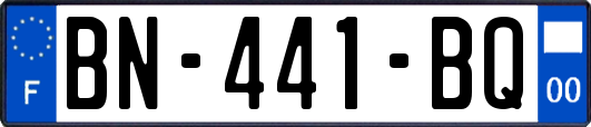 BN-441-BQ