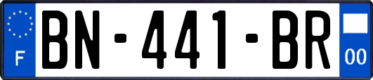 BN-441-BR