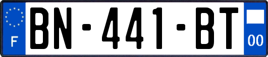 BN-441-BT