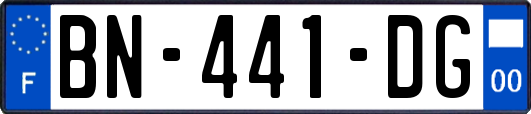 BN-441-DG