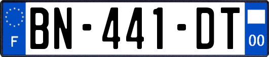 BN-441-DT