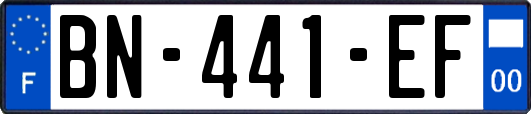 BN-441-EF