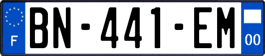 BN-441-EM
