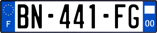 BN-441-FG