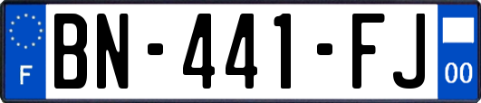 BN-441-FJ