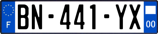 BN-441-YX