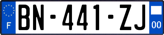 BN-441-ZJ