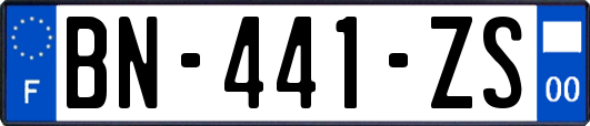 BN-441-ZS