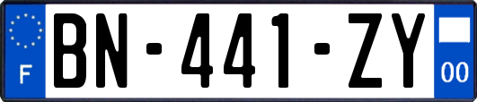 BN-441-ZY