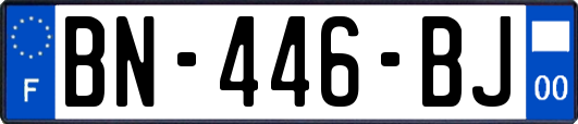 BN-446-BJ