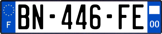 BN-446-FE