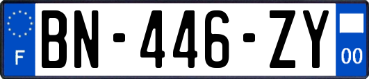 BN-446-ZY