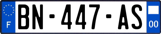 BN-447-AS