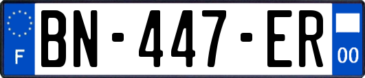 BN-447-ER