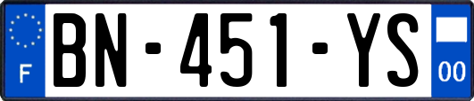 BN-451-YS