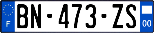 BN-473-ZS