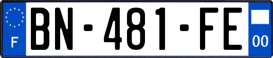 BN-481-FE