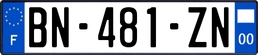 BN-481-ZN