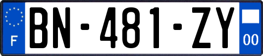 BN-481-ZY