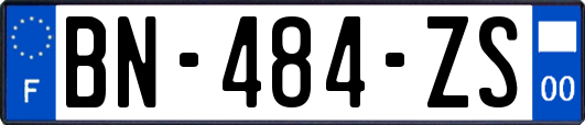 BN-484-ZS