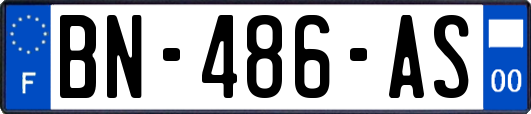 BN-486-AS