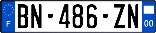 BN-486-ZN