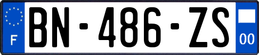 BN-486-ZS