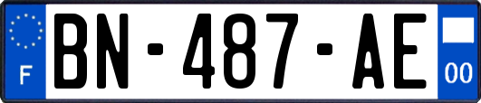 BN-487-AE