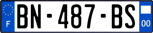 BN-487-BS