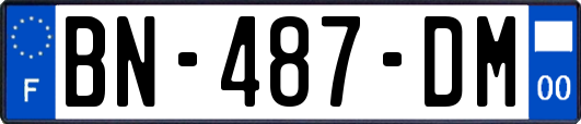 BN-487-DM