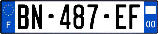 BN-487-EF