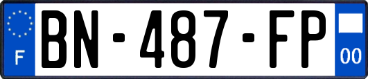 BN-487-FP
