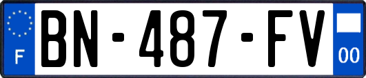 BN-487-FV