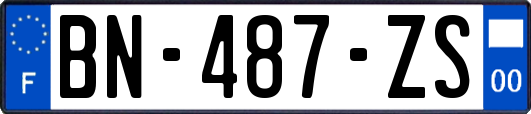 BN-487-ZS