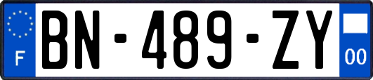 BN-489-ZY