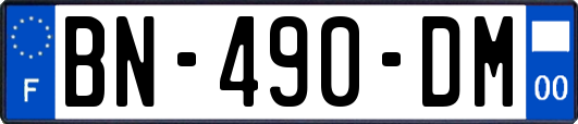 BN-490-DM