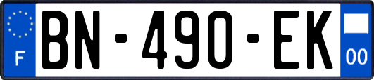 BN-490-EK