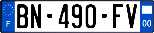 BN-490-FV