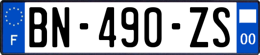 BN-490-ZS